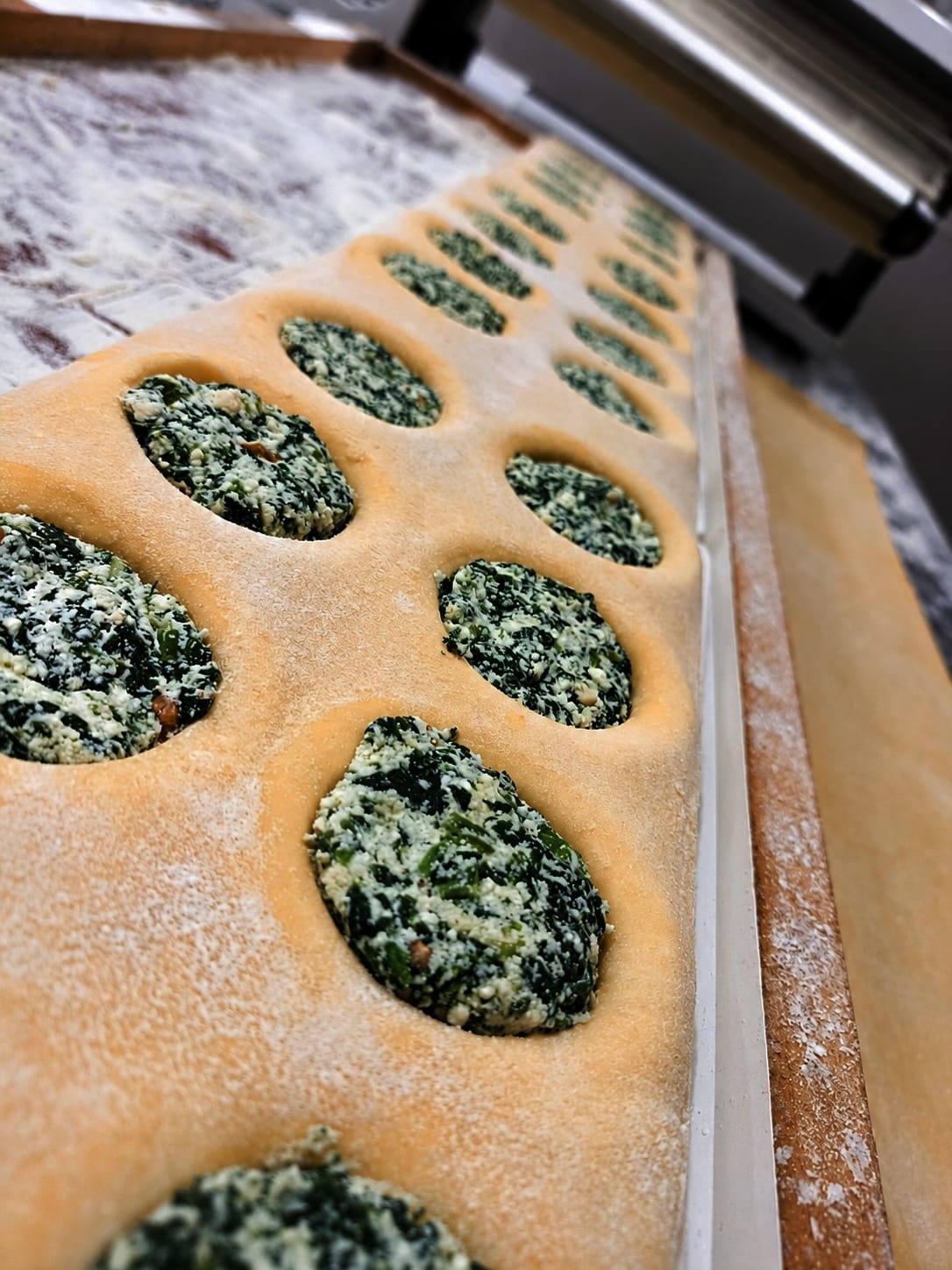 Máquina rellenando sorrentinos de verdura TUCCI